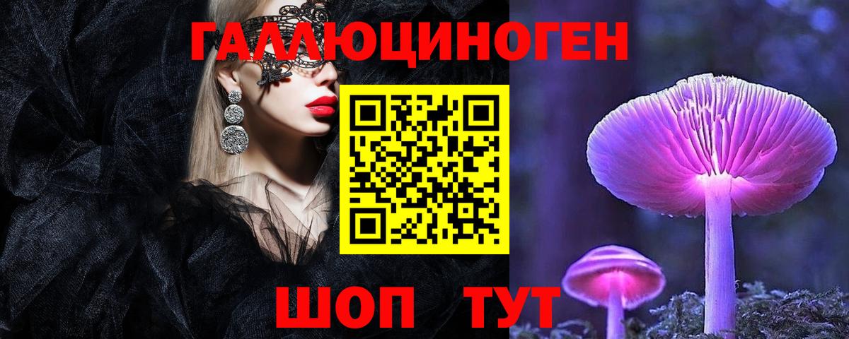 где купить наркоту  Псилоцибиновые грибы Psilocybe  Вход с VPN  Галлюциногенные грибы мухоморы  Осинники 